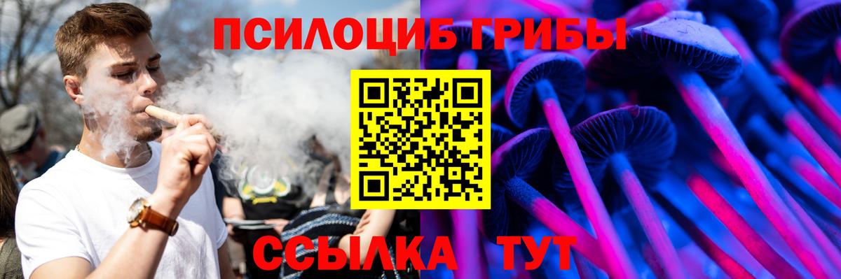 Галлюциногенные грибы Cubensis  купить наркоту  Калуга  Вход с VPN 