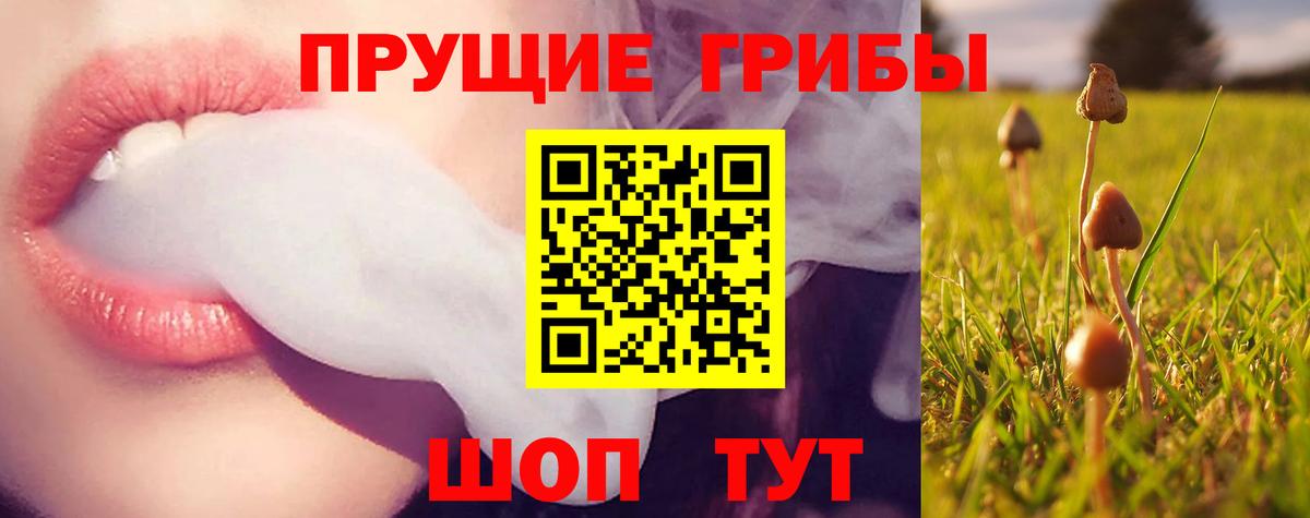 Галлюциногенные грибы мицелий Калуга